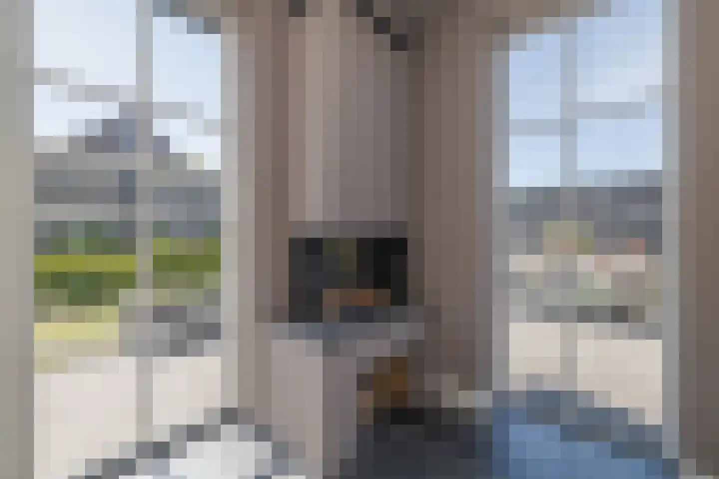Zuidersingel 77 l Berkel en Rodenrijs thumbnail 5
