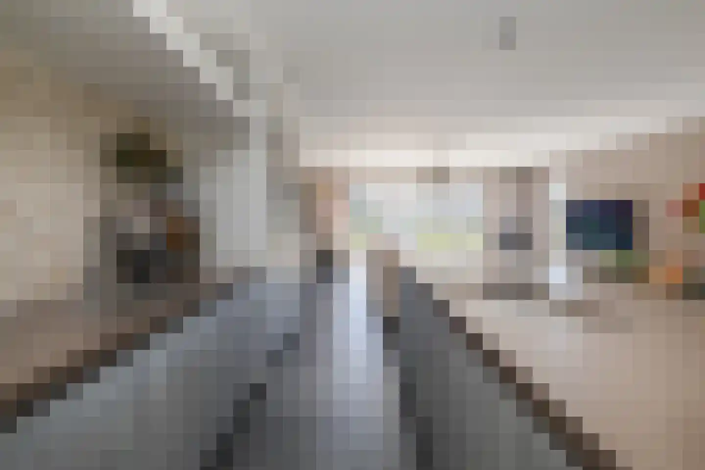 Zuidersingel 77 l Berkel en Rodenrijs thumbnail 8