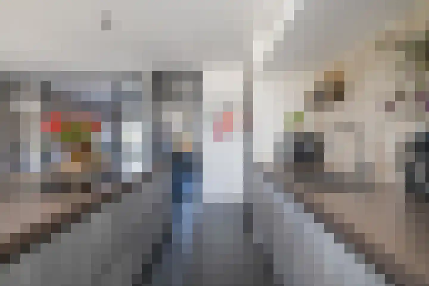 Zuidersingel 77 l Berkel en Rodenrijs thumbnail 9