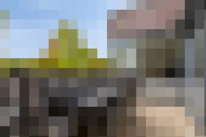 Zuidersingel 8 Barendrecht thumbnail 20