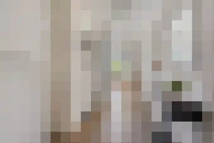 Zuidersingel 8 Barendrecht thumbnail 21