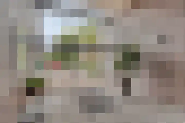 Zuidersingel 8 Barendrecht thumbnail 25