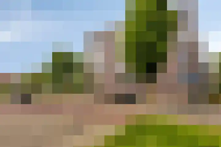 Zuidersingel 8 Barendrecht thumbnail 30