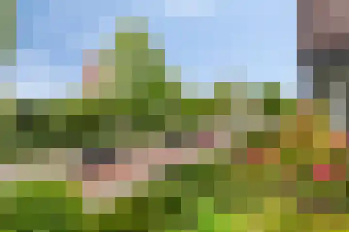 Zuidersingel 8 Barendrecht thumbnail 31