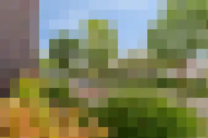 Zuidersingel 8 Barendrecht thumbnail 32