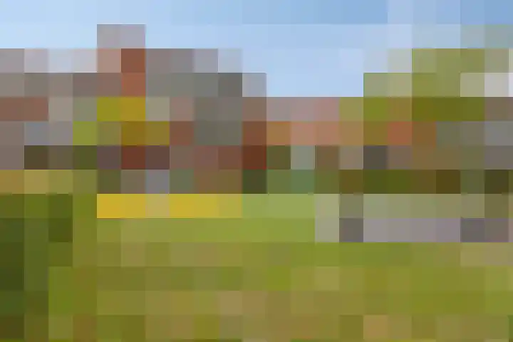 Zuidersingel 8 Barendrecht thumbnail 33