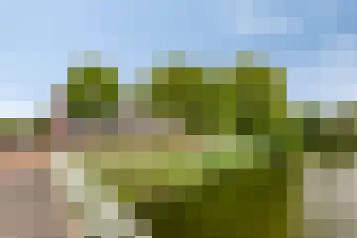 Zuidersingel 8 Barendrecht thumbnail 34