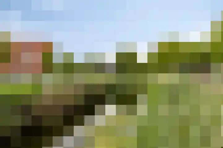 Zuidersingel 8 Barendrecht thumbnail 35