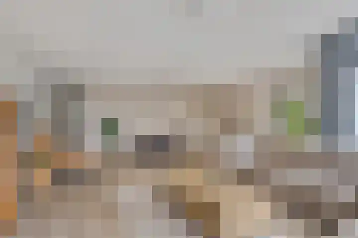 Zuidersingel 8 Barendrecht thumbnail 4