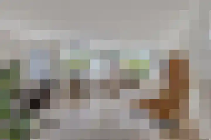 Zuidersingel 8 Barendrecht thumbnail 5