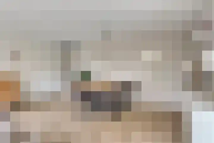 Zuidersingel 8 Barendrecht thumbnail 6