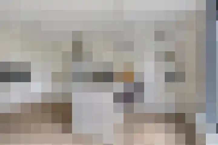 Zuidersingel 8 Barendrecht thumbnail 7