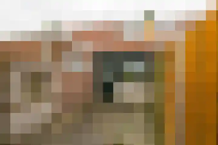 Zuidersingel 82 Berkel en Rodenrijs thumbnail 26