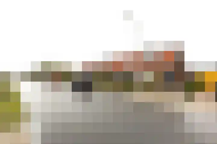 Zuidersingel 82 Berkel en Rodenrijs thumbnail 4