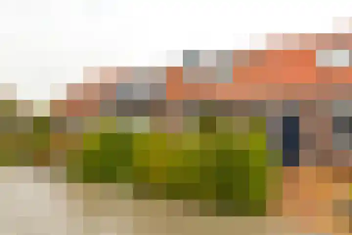 Zuidersingel 82 Berkel en Rodenrijs thumbnail 5