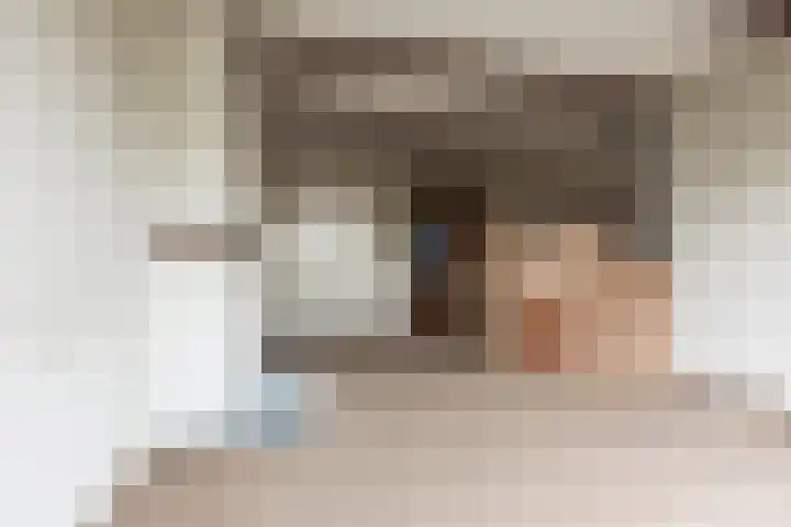 Zuidersingel 82 Berkel en Rodenrijs thumbnail 9