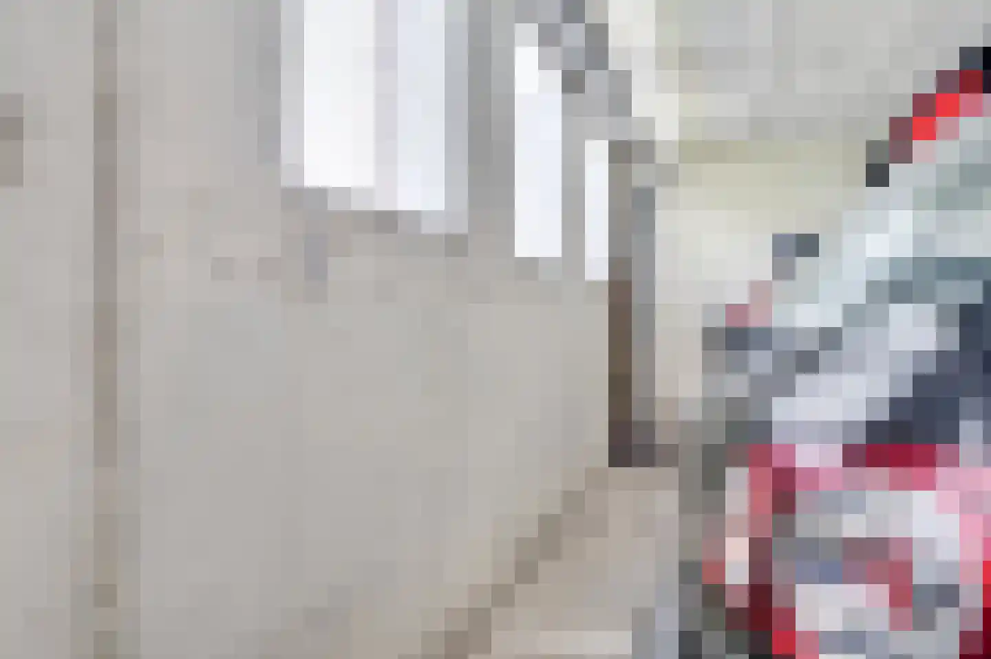 Zuidersloot 10 Broek op Langedijk thumbnail 37