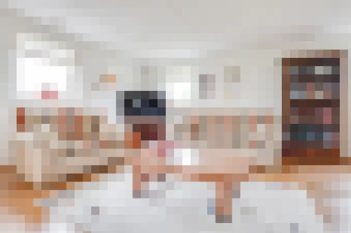 Zuidersloot 10 Broek op Langedijk thumbnail 4