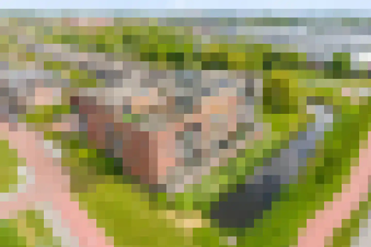 Zuidersloot 10 Broek op Langedijk thumbnail 42