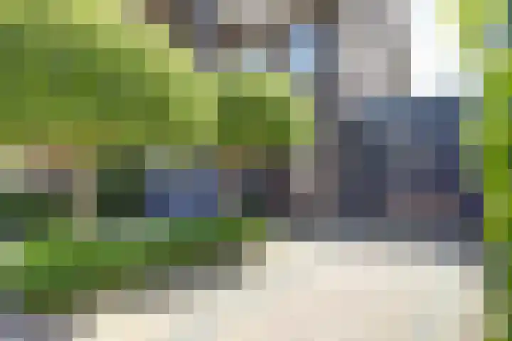 Zuidersloot 52 Broek op Langedijk thumbnail 4