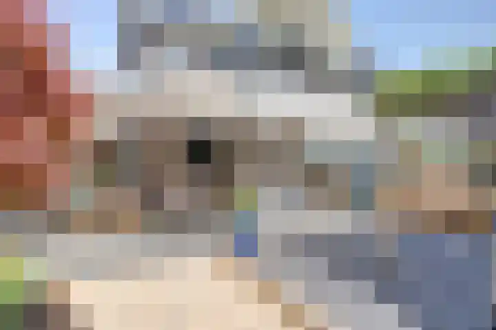 Zuidersloot 52 Broek op Langedijk thumbnail 42