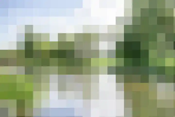 Zuidersloot 52 Broek op Langedijk thumbnail 51