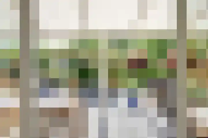 Zuidersloot 52 Broek op Langedijk thumbnail 6