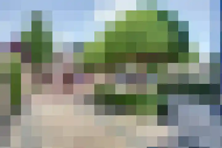 Zuidersloot 52 Broek op Langedijk thumbnail 59