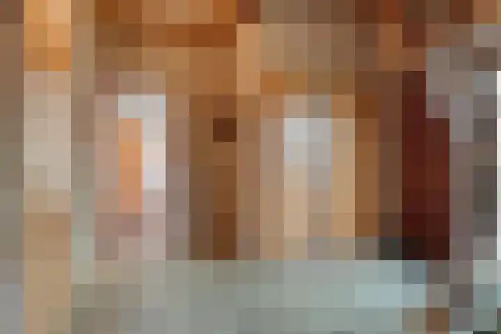 Zuidersloot 80 Weiteveen thumbnail 11