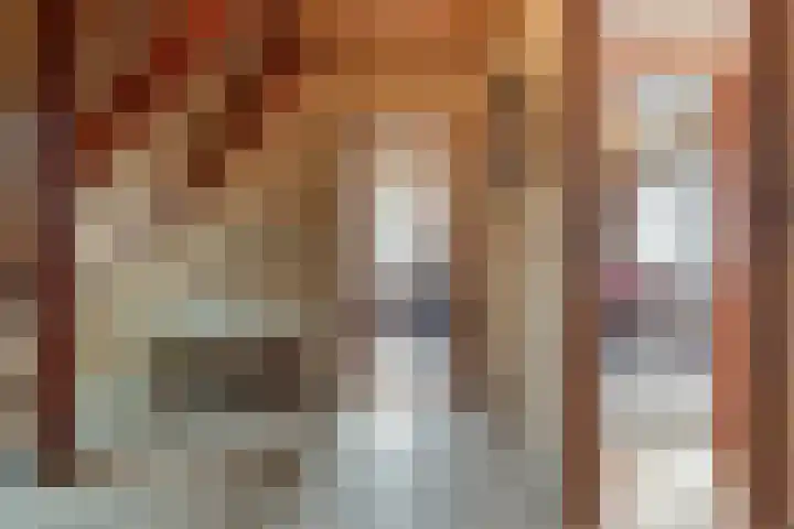 Zuidersloot 80 Weiteveen thumbnail 13