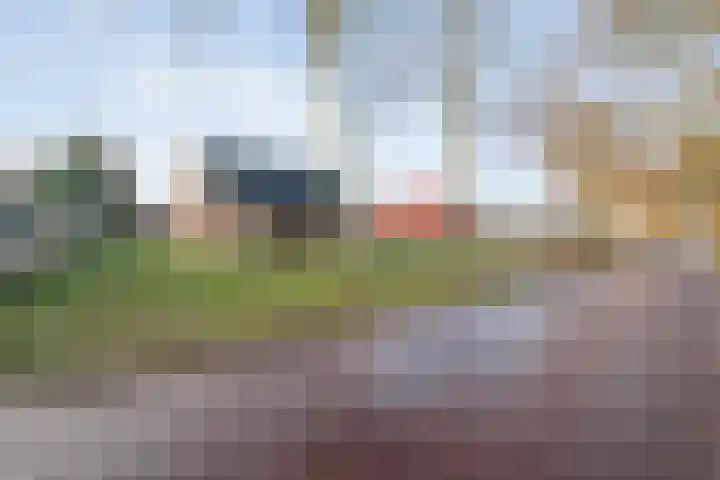 Zuidersloot 80 Weiteveen thumbnail 5