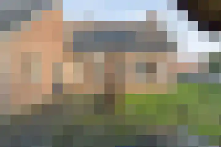 Zuidersloot 80 Weiteveen thumbnail 51
