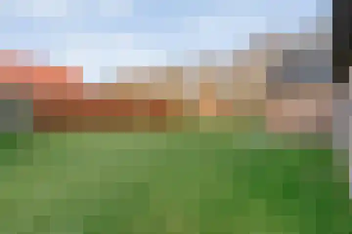 Zuidersloot 80 Weiteveen thumbnail 53