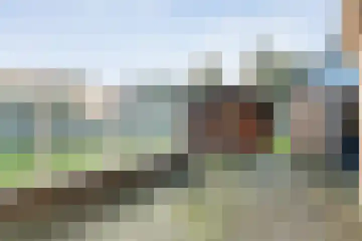 Zuidersloot 80 Weiteveen thumbnail 58