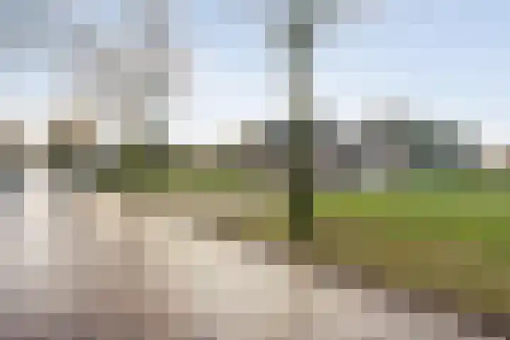 Zuidersloot 80 Weiteveen thumbnail 6