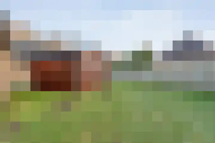 Zuidersloot 80 Weiteveen thumbnail 60