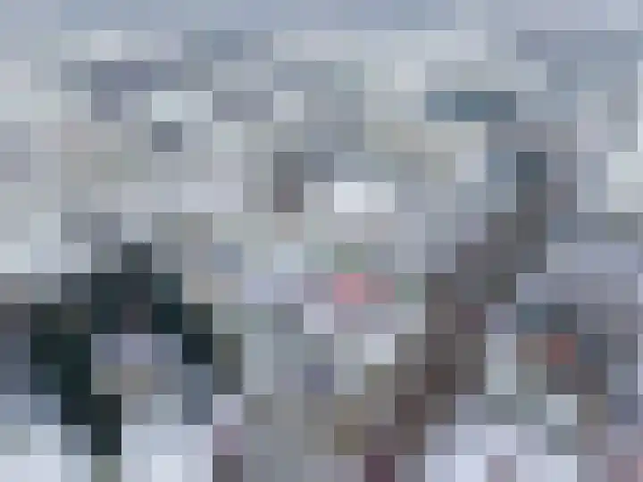 Zuidersloot 80 Weiteveen thumbnail 64
