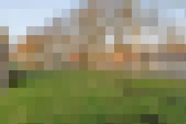 Zuidersloot 80 Weiteveen thumbnail 7