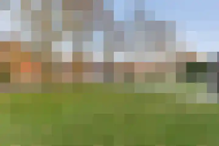 Zuidersloot 80 Weiteveen thumbnail 8
