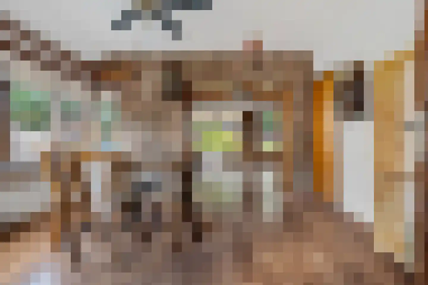 Zuidersloot 98 Weiteveen thumbnail 13