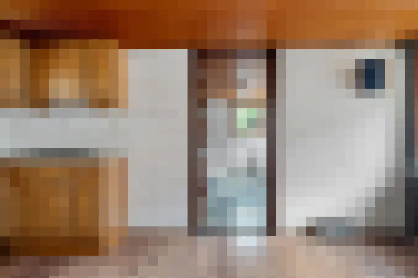 Zuidersloot 98 Weiteveen thumbnail 17