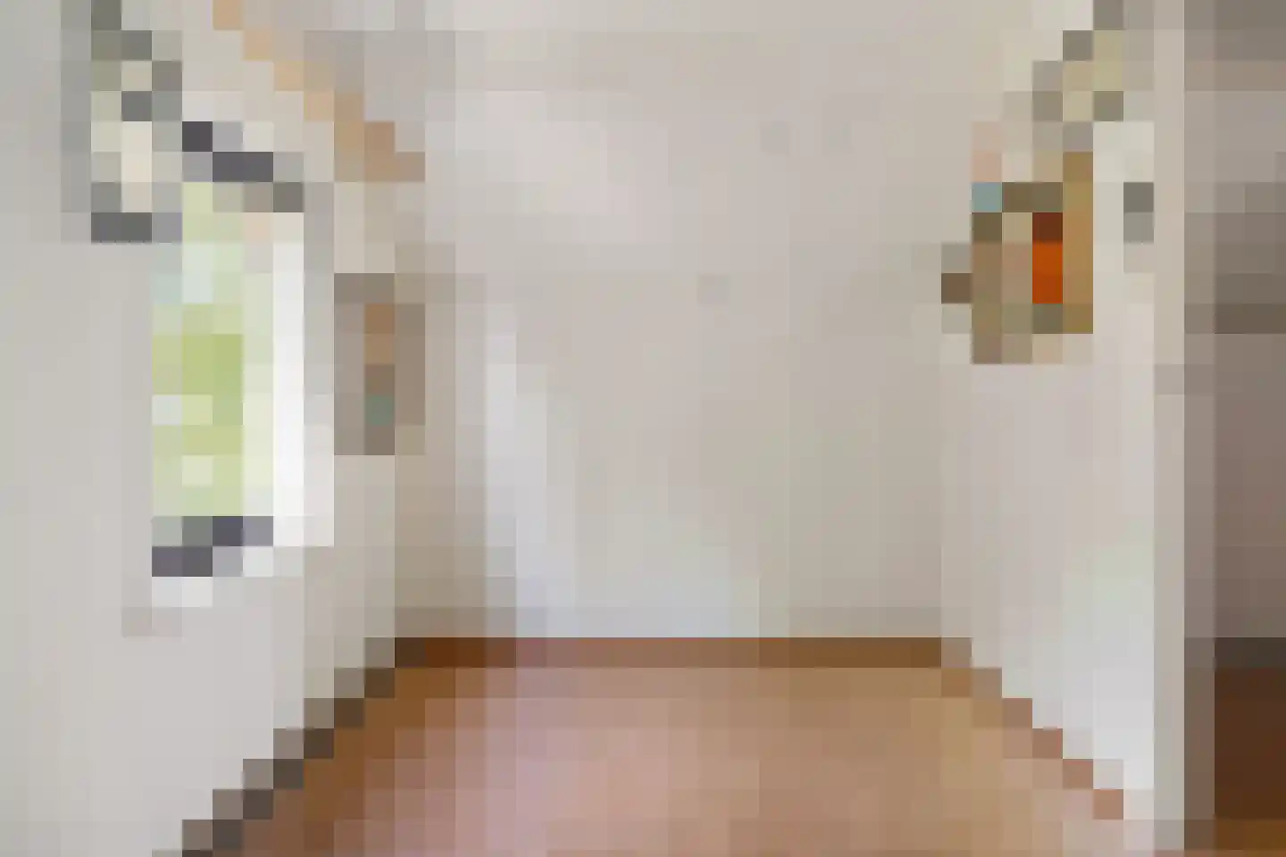 Zuidersloot 98 Weiteveen thumbnail 30