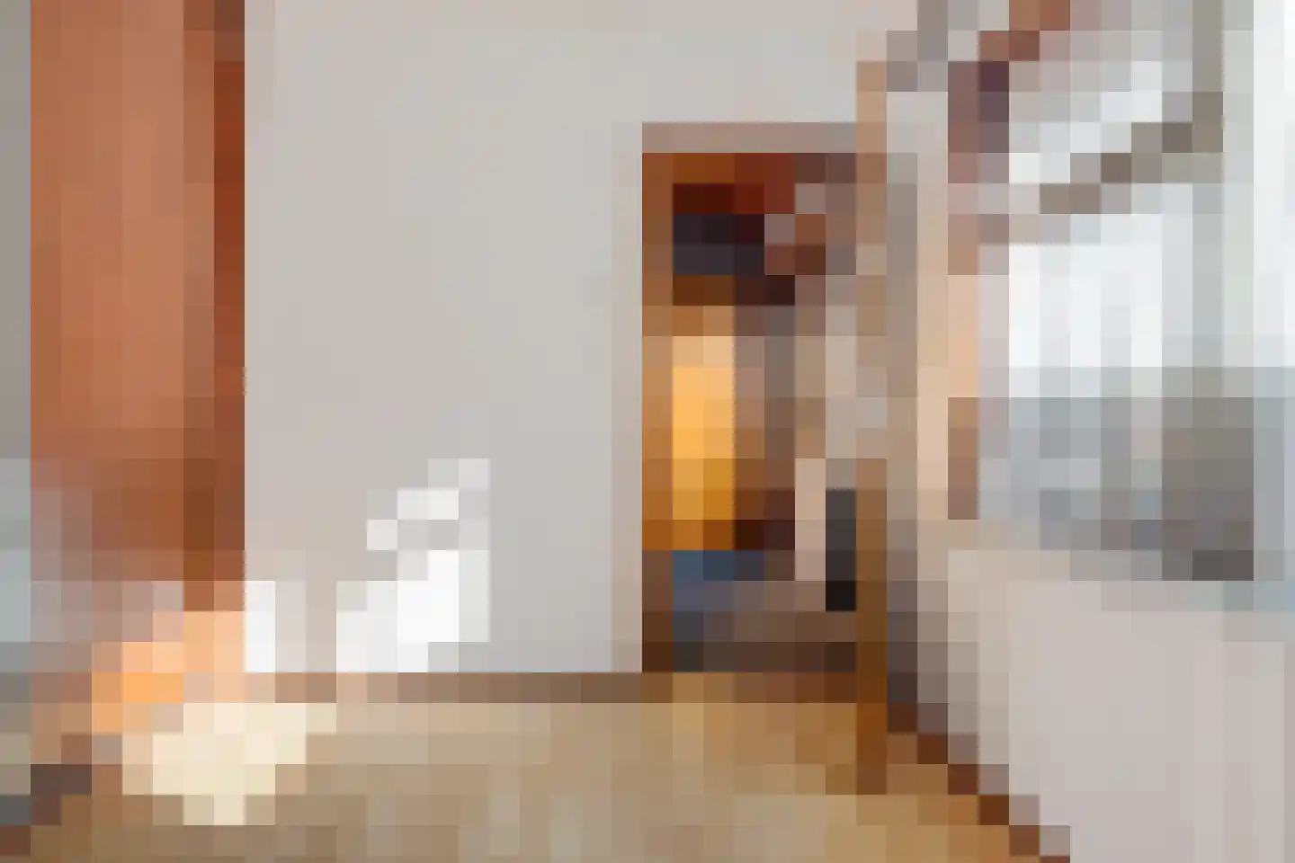 Zuidersloot 98 Weiteveen thumbnail 36