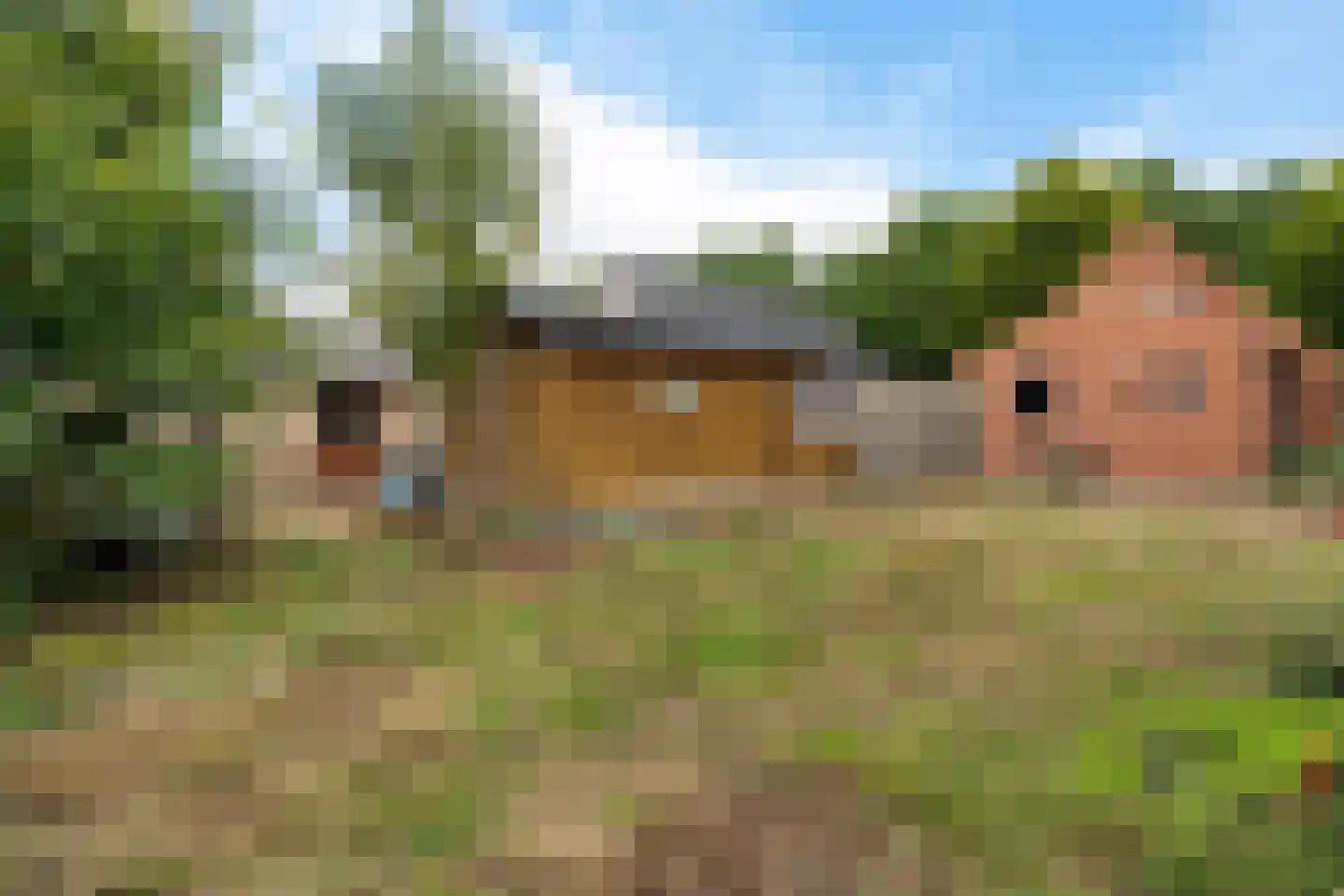 Zuidersloot 98 Weiteveen thumbnail 4