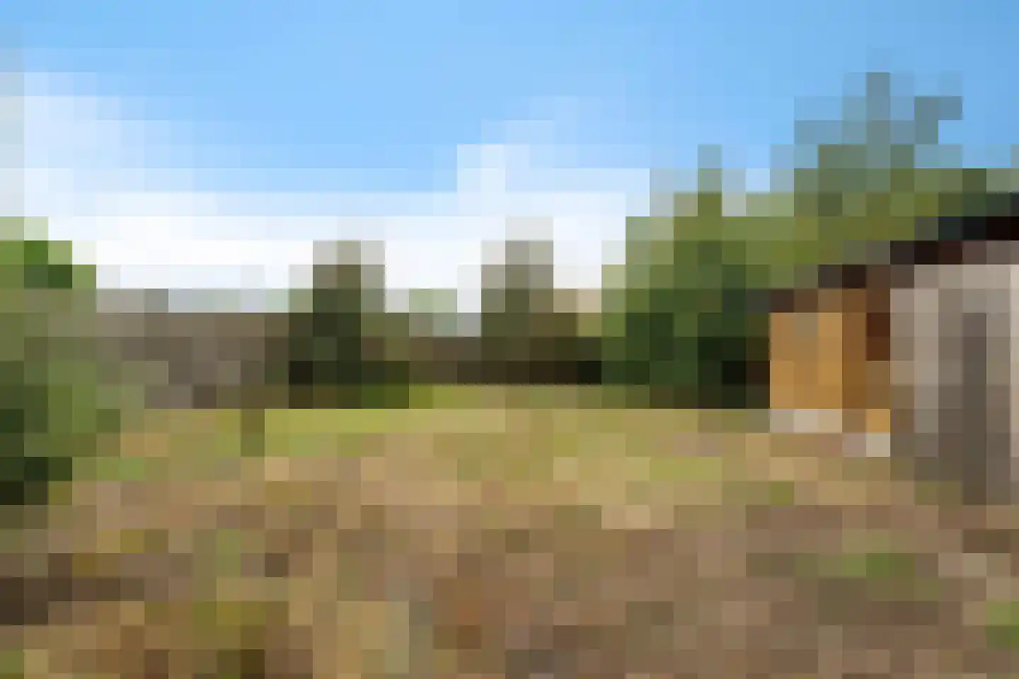 Zuidersloot 98 Weiteveen thumbnail 41