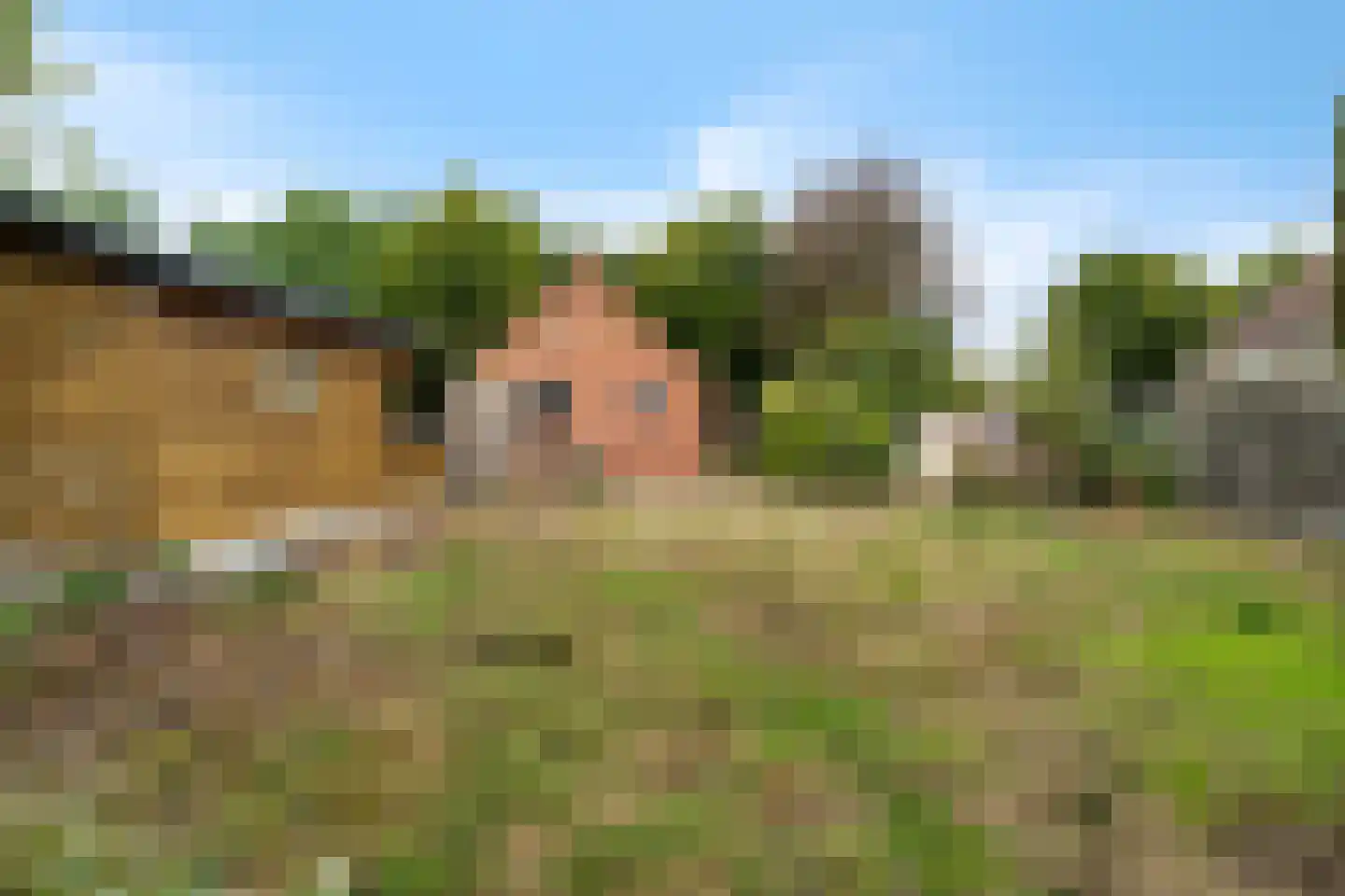 Zuidersloot 98 Weiteveen thumbnail 42