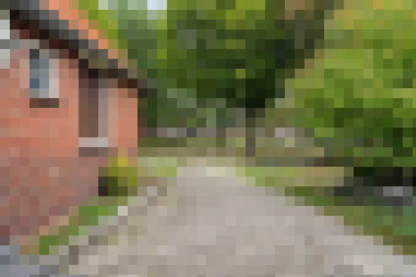 Zuidersloot 98 Weiteveen thumbnail 44
