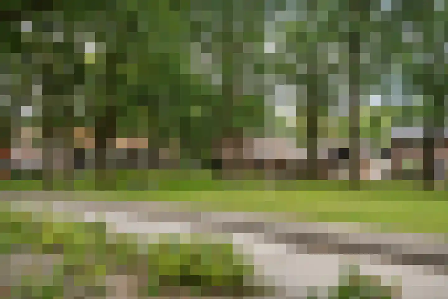 Zuidersloot 98 Weiteveen thumbnail 46