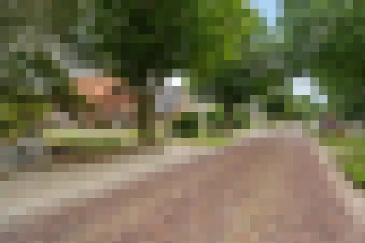 Zuidersloot 98 Weiteveen thumbnail 47