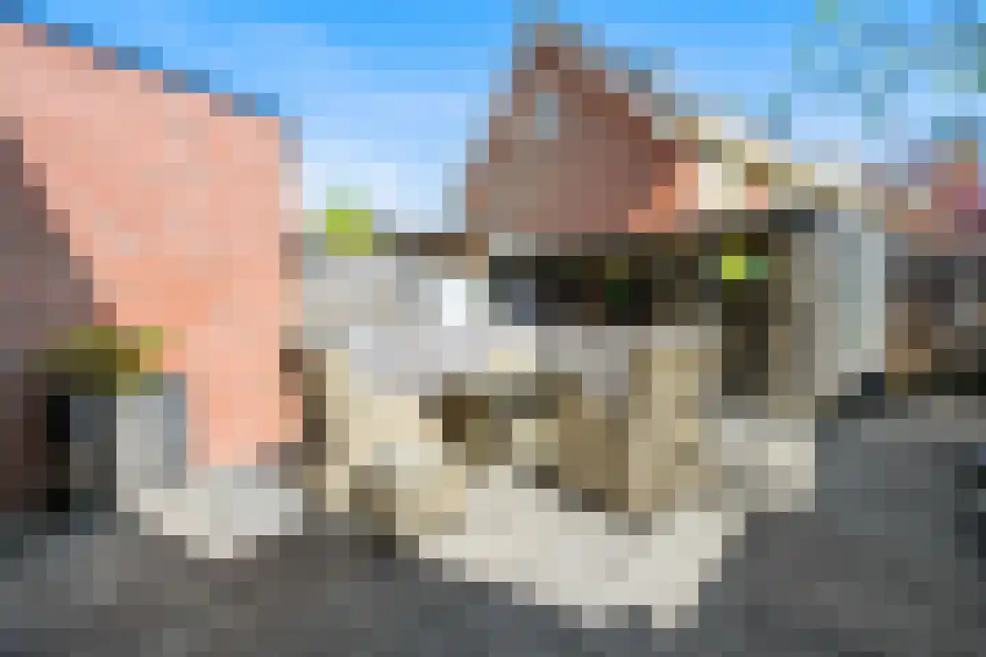 Zuiderspoor 25 Houten thumbnail 21